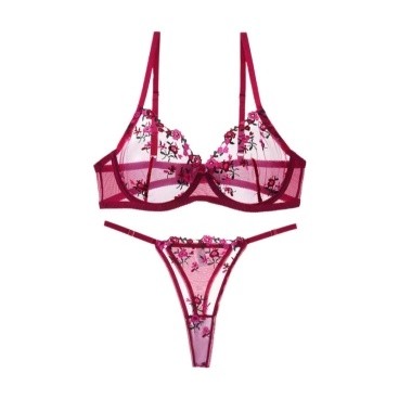 Burgundy Floral Embroidered Bralette Set