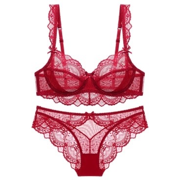 Red Lace Sheer Bra and Panty Set