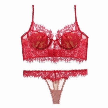 Red Lace Sheer Bra and Thong Set