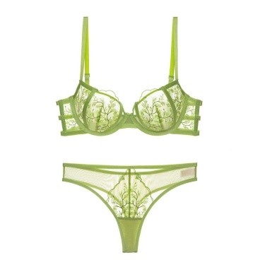 Green Embroidered Bra Set