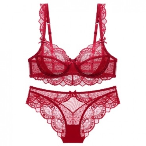 Red Lace Sheer Bra and Panty Set