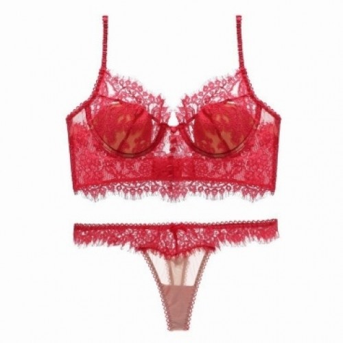 Red Lace Sheer Bra and Thong Set